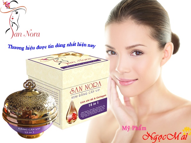 Kem Đẳng Cấp Vip 15 in 1 SAN NORA - 35g