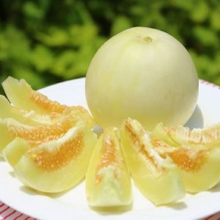 0.5gr Hạt Giống Dưa Lê Siêu Trái, Siêu Ngọt