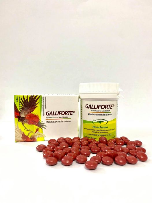 Galliforte - Viên uống tăng pin bo , hừng sung cho gà đá