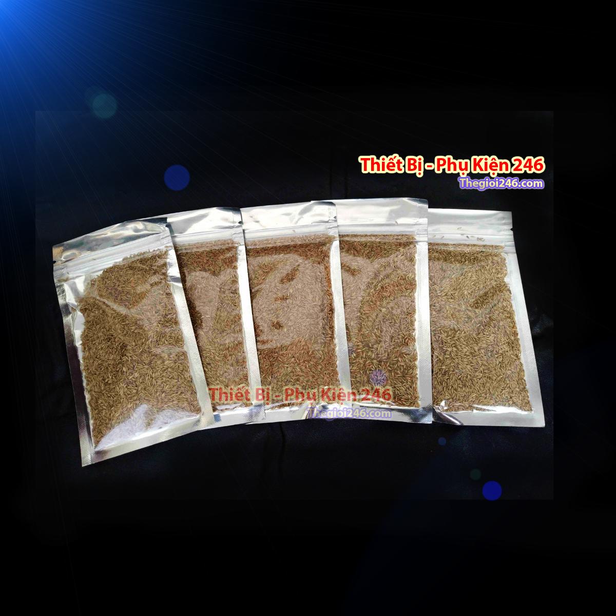 Hạt giống thủy sinh Cỏ ngưu mao chiên