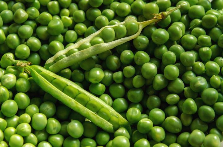 [HCM]Hạt Giống Đậu Hà Lan (Lấy Hạt) - Gói 20gr