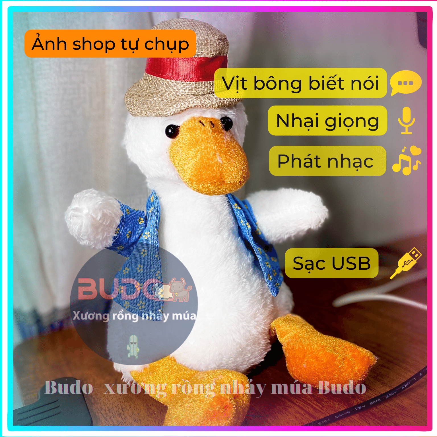 [ Giá Sỉ, Sạc USB ] Vịt Biết Nói - Biết Hát - Nhại Tiếng - Vịt nhún nhảy - Xương Rồng Nhảy Múa - đồ chơi nhồi bông biết nói nhại giọng sạc usb - quà tặng cho bé