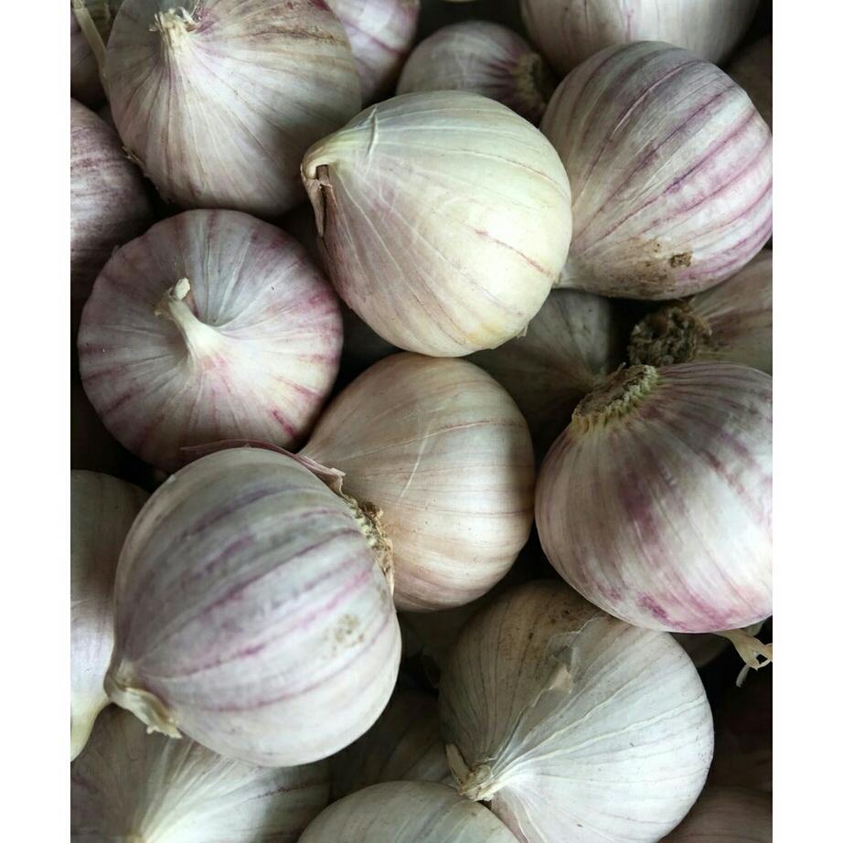 1kg tỏi cô đơn dùng làm tỏi đen
