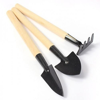 Bộ 3 Dụng Cụ Đào, Xới Đất Trồng Cây mini