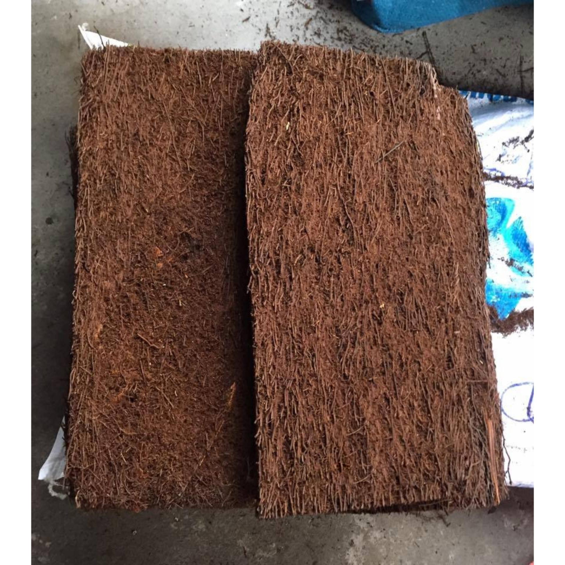 Dớn bảng trồng lan KT 59x20x5 cm