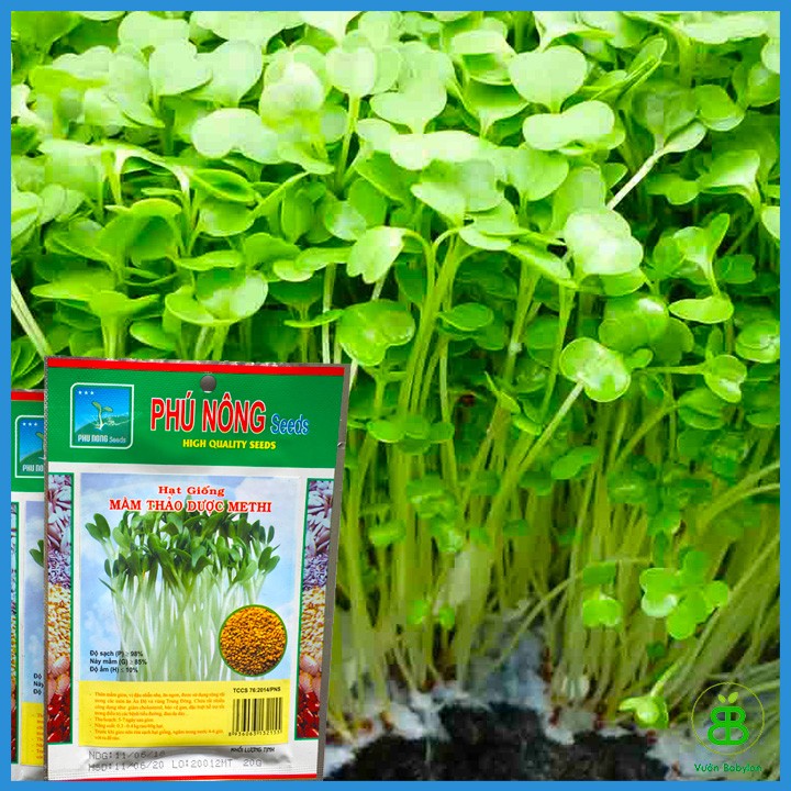"gói 20gram "hạt giống mầm thảo dược methi phú nông