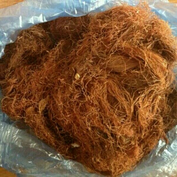 1,5kg trà râu ngô