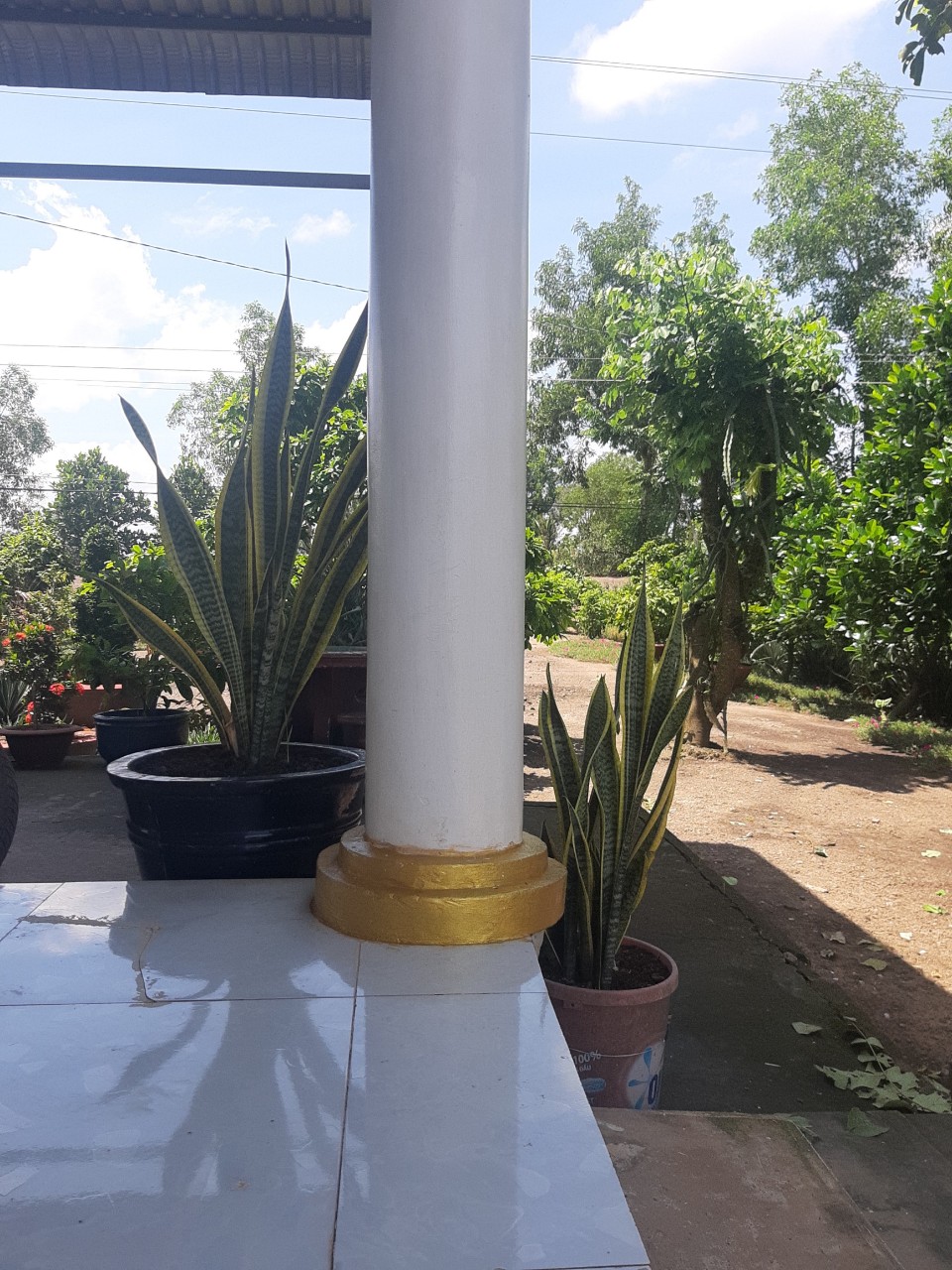 Sơn Chậu Kiểng Màu Trắng Hệ Nước Lon 1kg