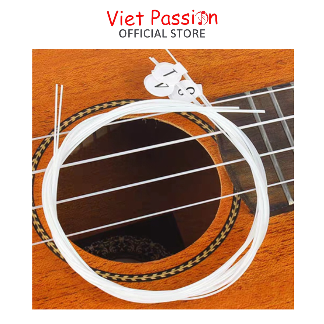 Dây đàn ukulele Aquila chất lượng Viet Passion HCM
