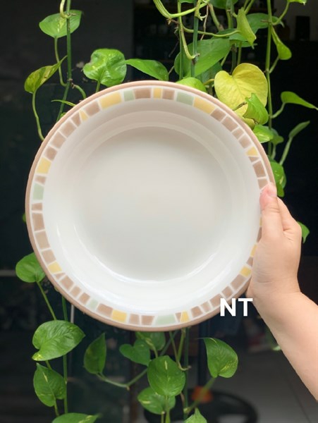 Đĩa gốm sứ men Nhật sâu lòng 22cm và 24cm siêu dày dặn