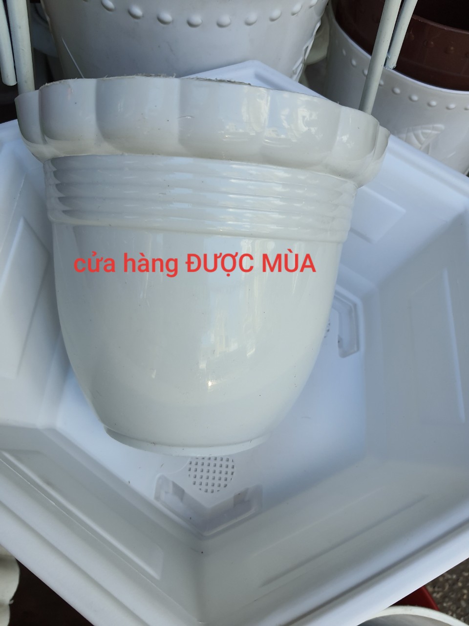 Combo 3 chậu ốp tường nhựa sắc màu
