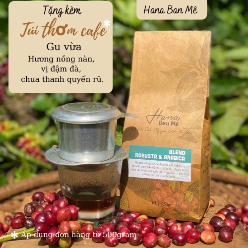Cà phê Blend Robusta và Arabica nguyên chất từ vườn Đắk Lắk