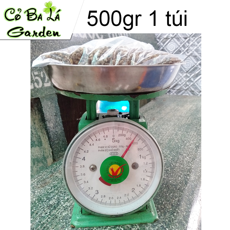 Đá Pumice-Đá Bọt núi lửa (500gr)