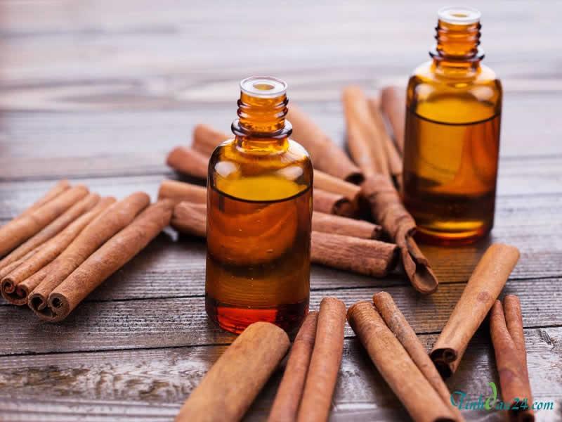 [HCM]Tinh dầu Vỏ Quế Sala Oil