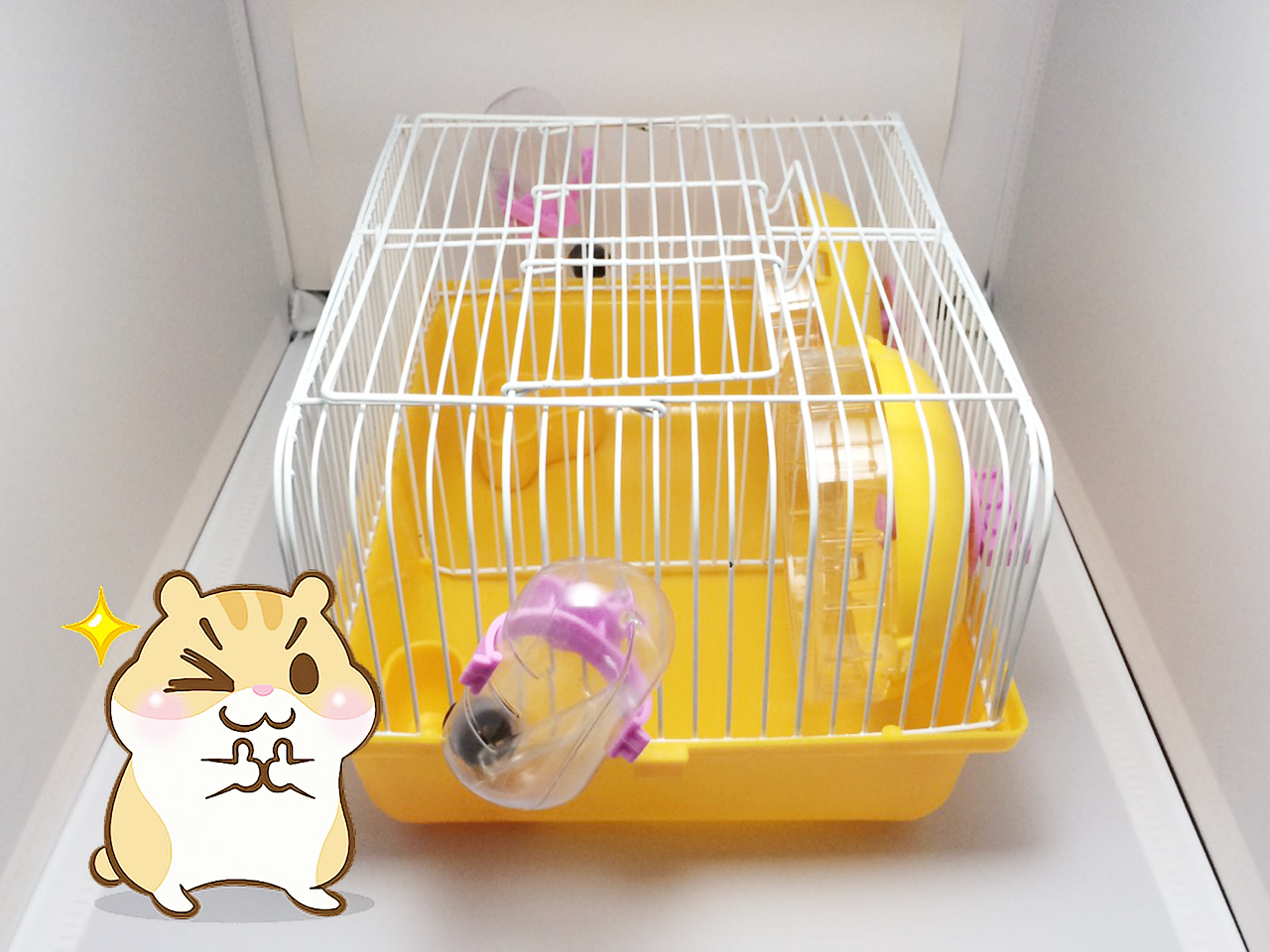 Lồng hamsters ngăn đôi, dùng tách đẻ - Ula Pets