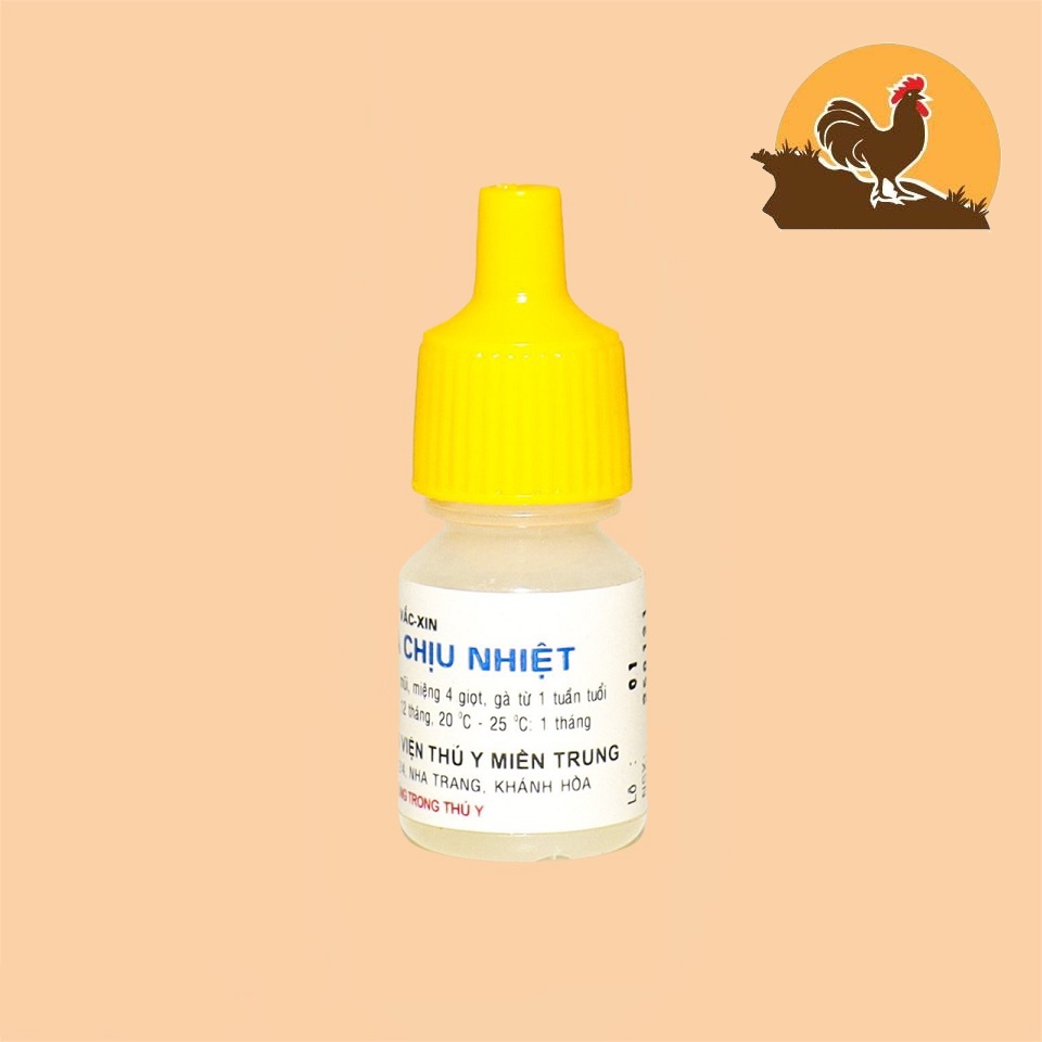 LAXOTA CHỊU NHIỆT  dịch tả cho gà