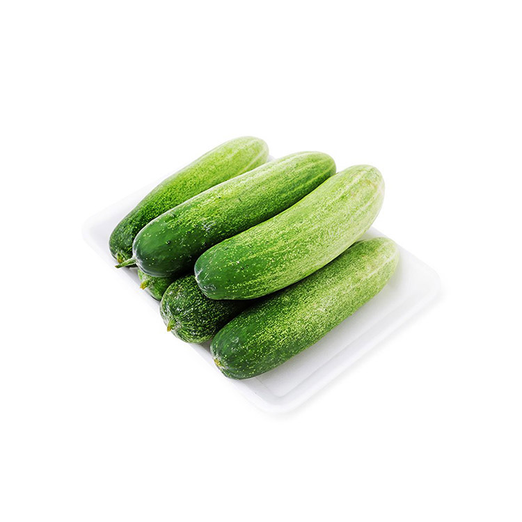 Dưa Leo - Thực Phẩm Chia Sẻ