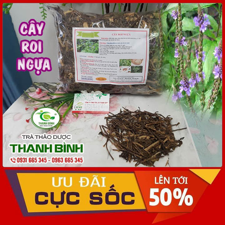 Cây roi ngựa khô 1kg hàng chất lượng - đông y thanh bình