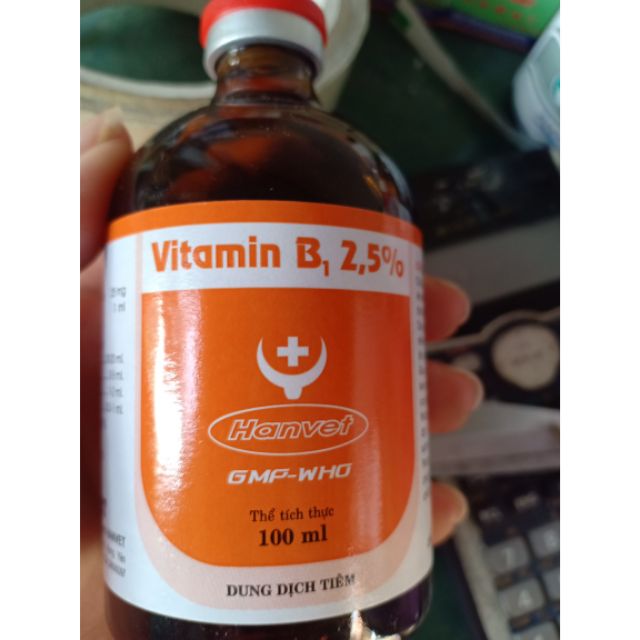 Vitamin B1 hanvet (100ml) - chỉ dùng trong thú y