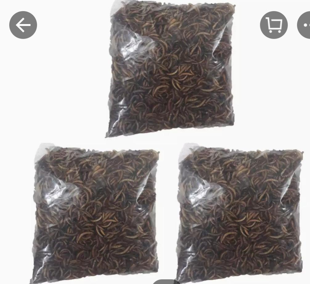 [HCM]Combo 3 bịch Sâu Khô Cho Chim Ăn 20g