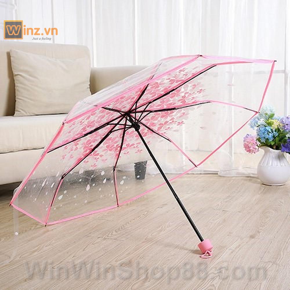 [HCM]Dù xếp trong suốt hoa anh đào V.2