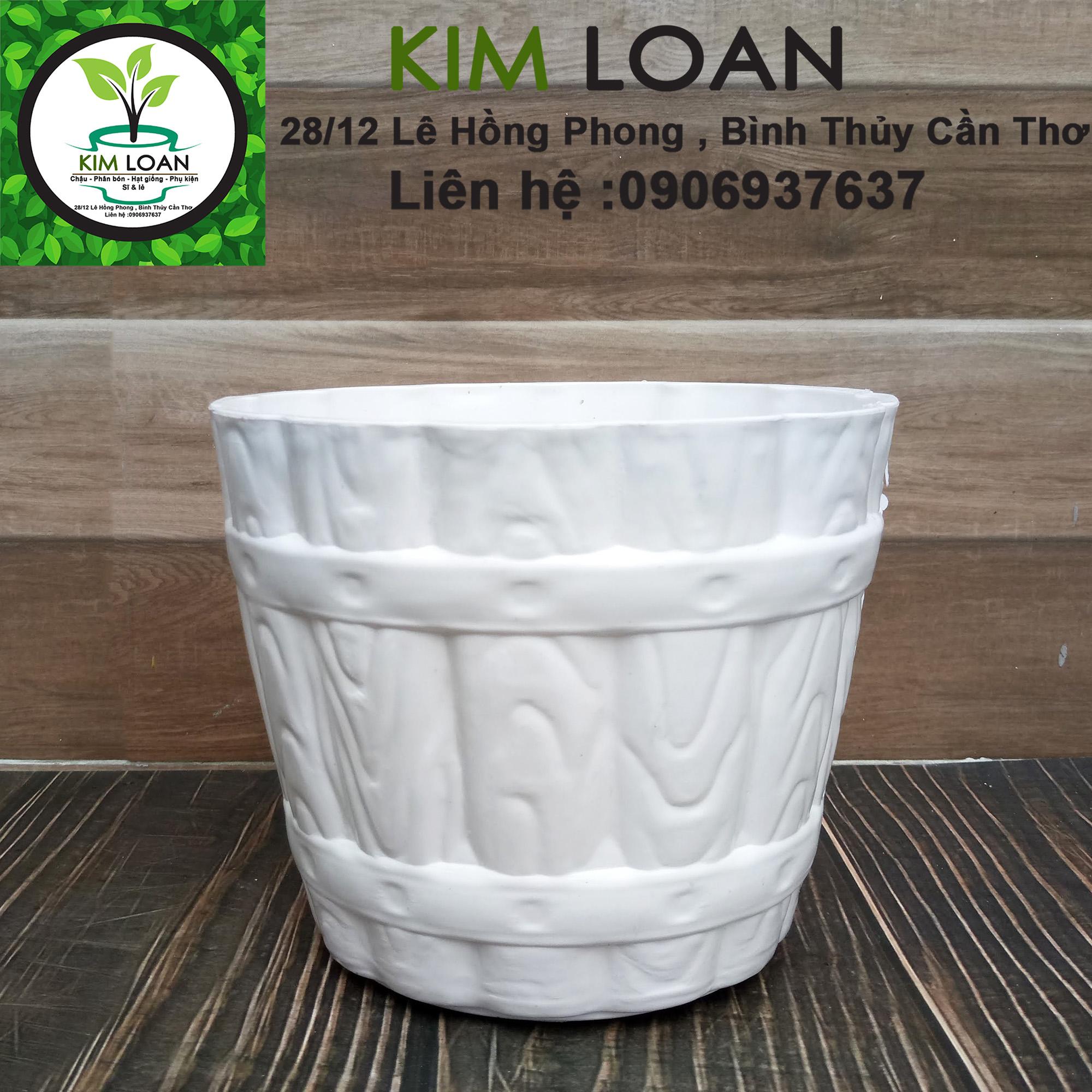 Combo 4 chậu nhựa trắng cao cấp hoa văn thùng gỗ 17x14cm