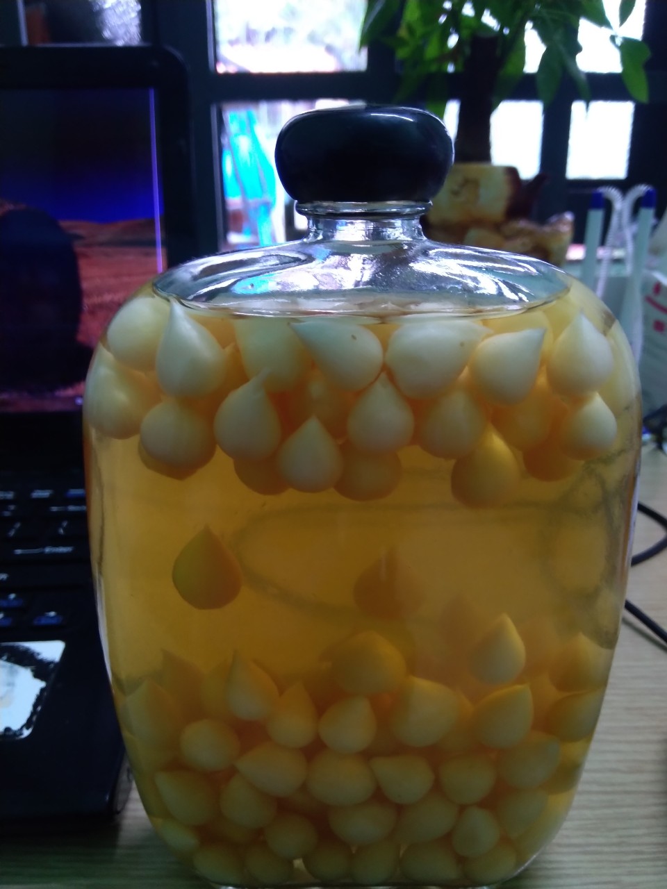 Rượu ngâm tỏi cô đơn Lý Sơn 500ml