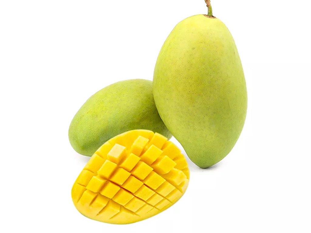 XOÀI CÁT HÒA LỘC -Cây giống