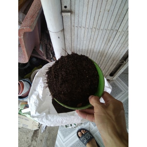 Hỗn hợp đất trồng sen đá - 1 KG - DT-025