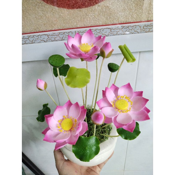 Chậu sen đất sét size nhỏ