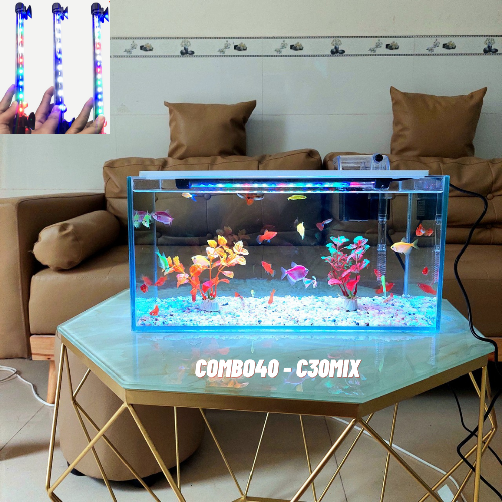 Bể cá mini 40cm COMBO đầy đủ phụ kiện