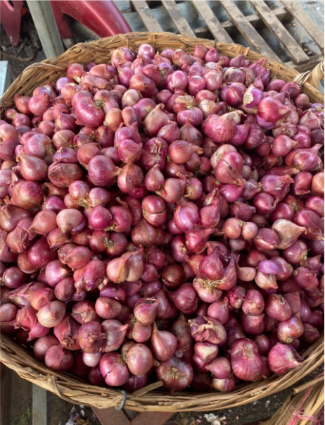 hành tím khô củ to chắc đều