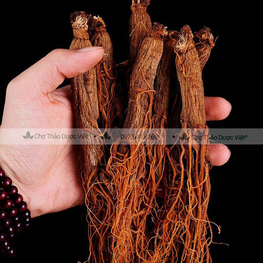 Hồng sâm sấy dẻo 500g ( Nhân sâm củ, sâm râu bồi bổ sức khỏe ) - Chợ Thảo Dược Việt