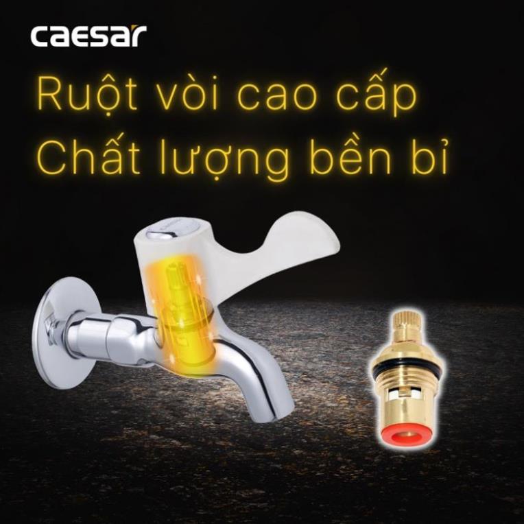 Vòi Hồ / Vòi Lạnh Gắn Tường CAESAR W027C