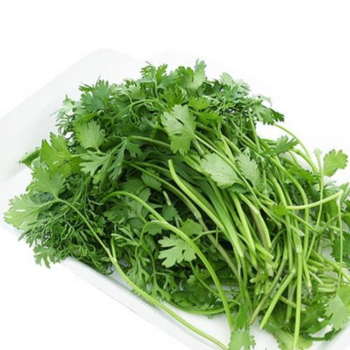 Hạt Giống Ngò Bạc Liêu, Hạt Bể Trang Nông