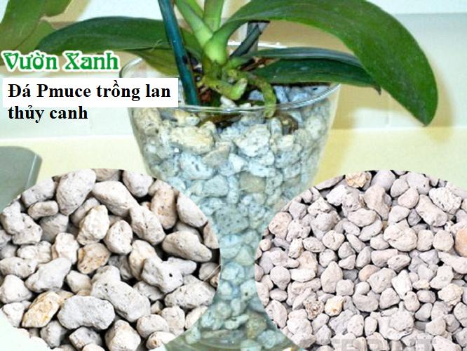 Đá Pumice (đá bọt núi lửa) size 1-2cm trồng lan thoát nước giữ ẩm tốt