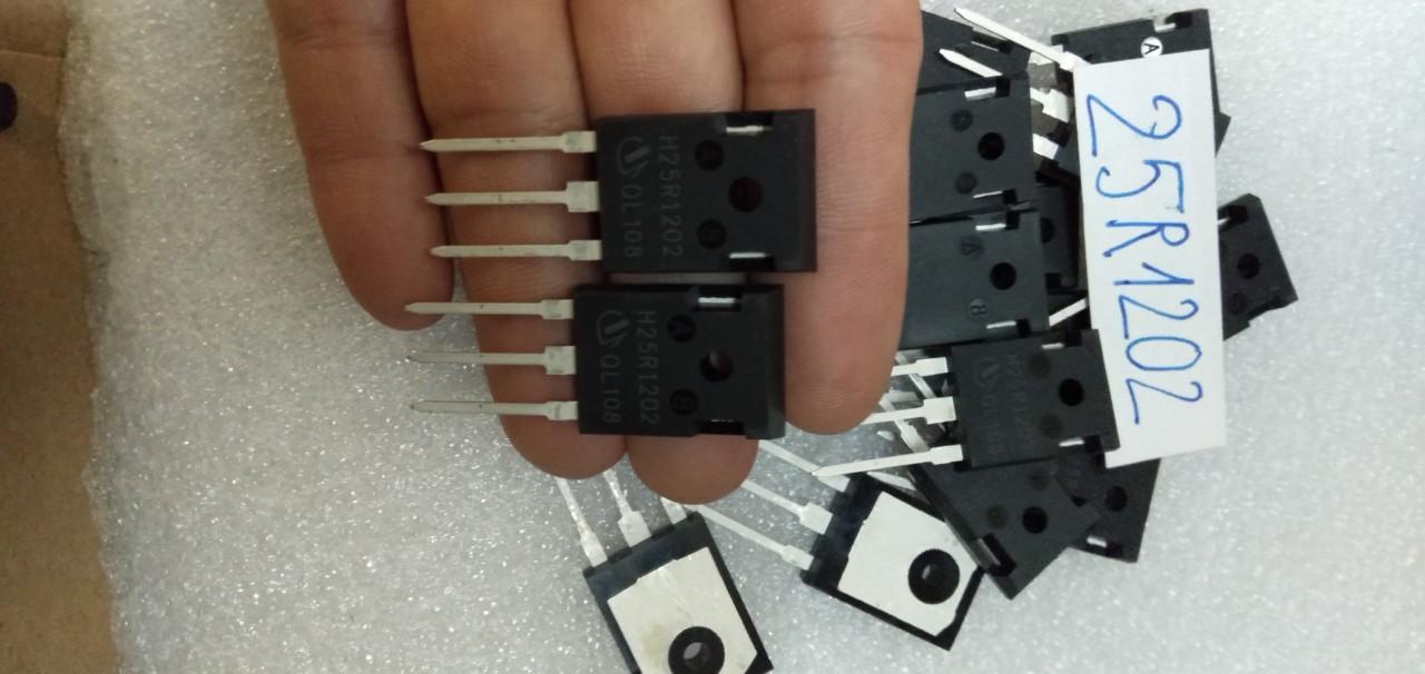 5 Con Sò Bếp Từ 25R1202