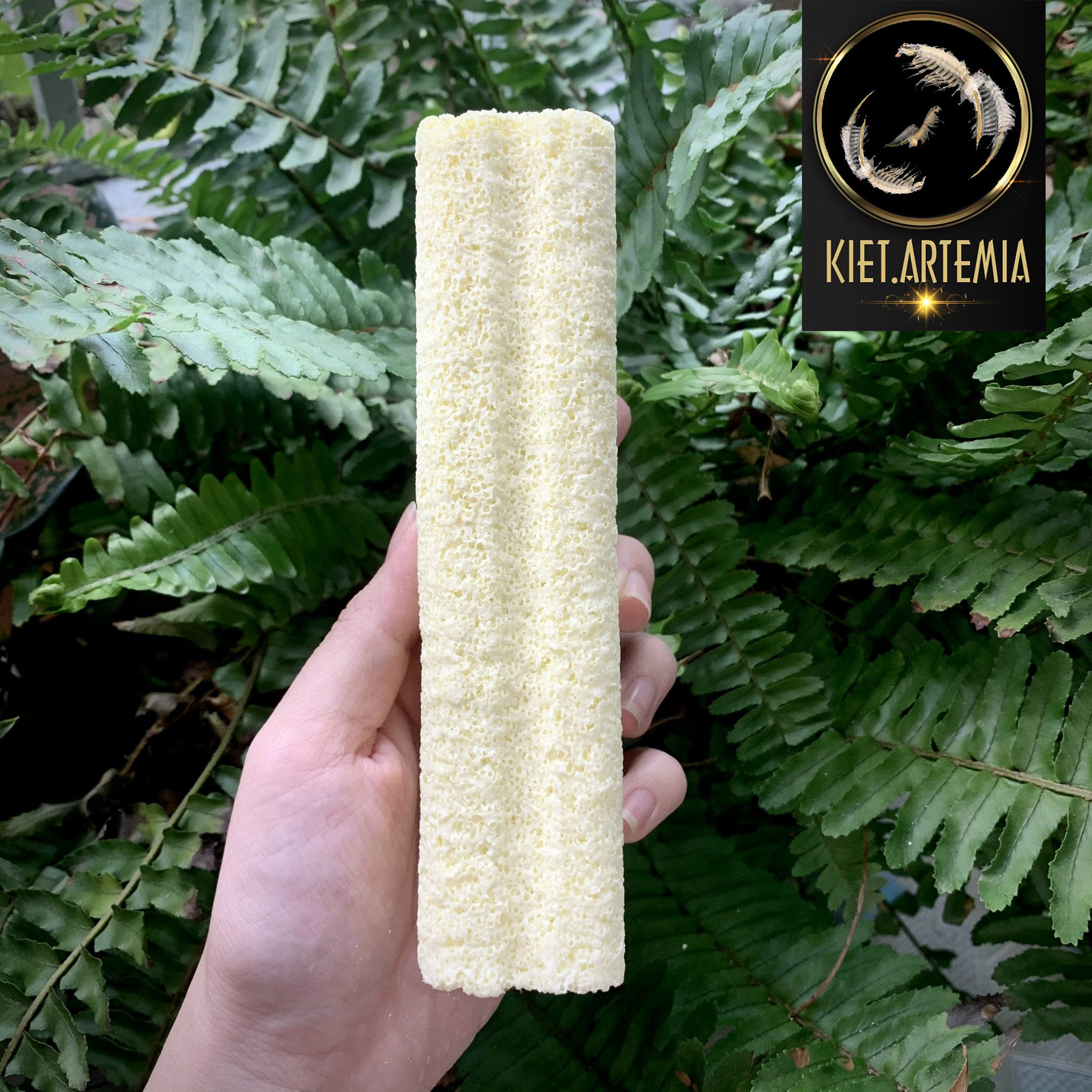 Sứ thanh lọc nước size lớn, dùng cho bể cá cảnh