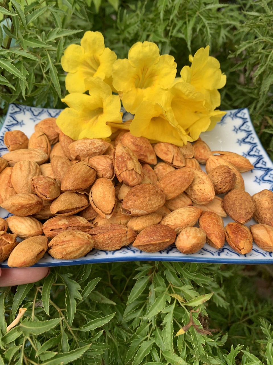 Hạnh Nhân Rang Bơ Nhập Khẩu Mỹ Thơm Ngậy (Hộp 500Gr)