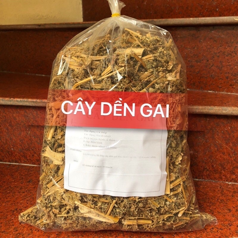 500GR Cây Dền Gai khô( hàng chuẩn xịn)