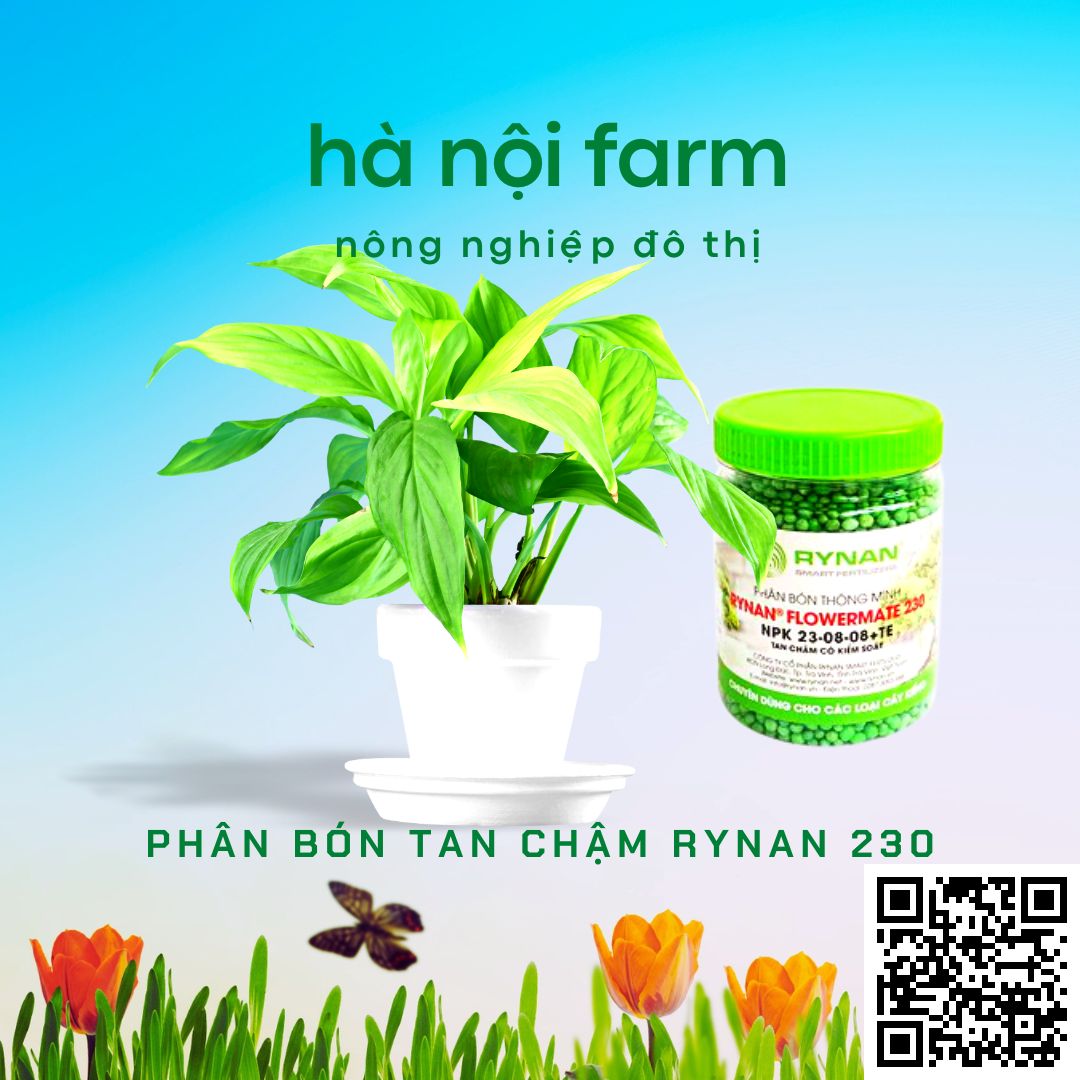 phân bón thông minh, tan chậm rynan 230. hũ 150g