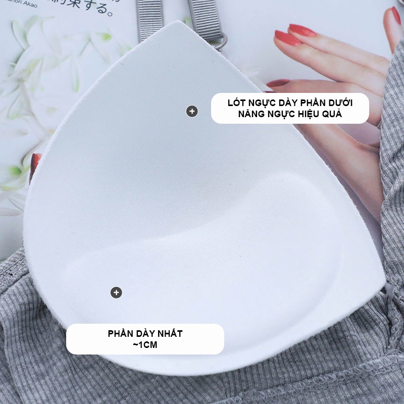 Áo Bra Nữ Cotton Có Mút Ngực Freesize HAVENA AC24