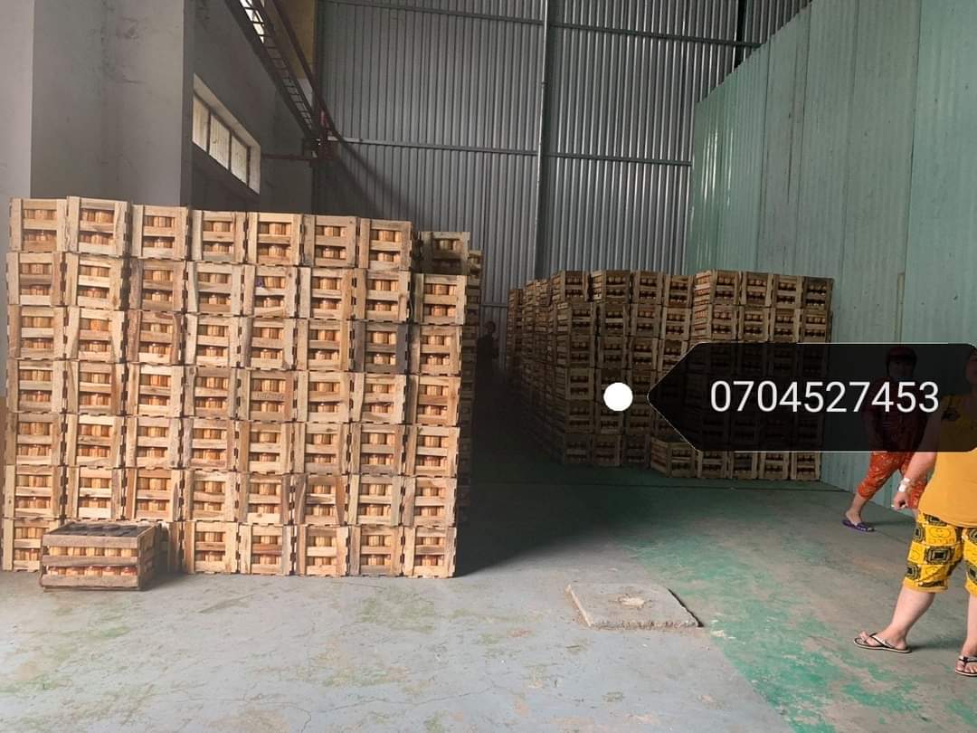 Chao Môn béo Vĩnh Phong hủ 450gr