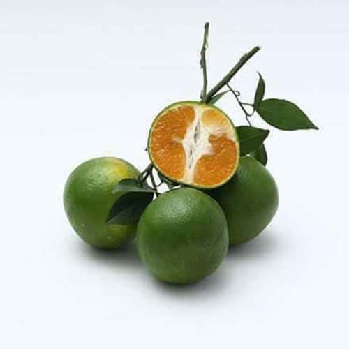 Quýt đường - kg