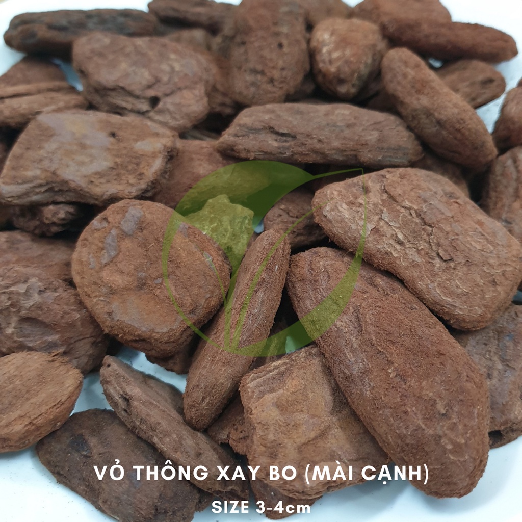 Vỏ Thông Xay Bo size 3-4cm (Túi 1kg)