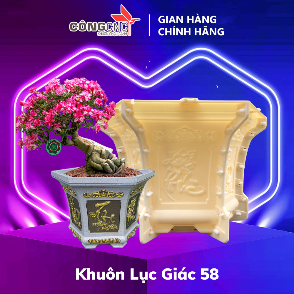 Khuôn đúc chậu lục giác 58 (Không chân đôn)