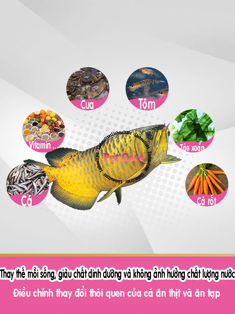 Thức ăn cá rồng inch gold 1 kg