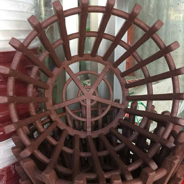 combo 10 chậu giả gỗ trồng lan phi 20cm.