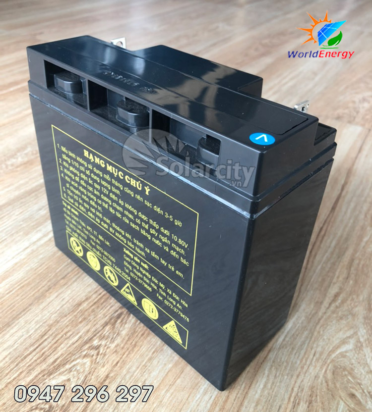 [HCM]Ắc quy Globe 12V-20Ah