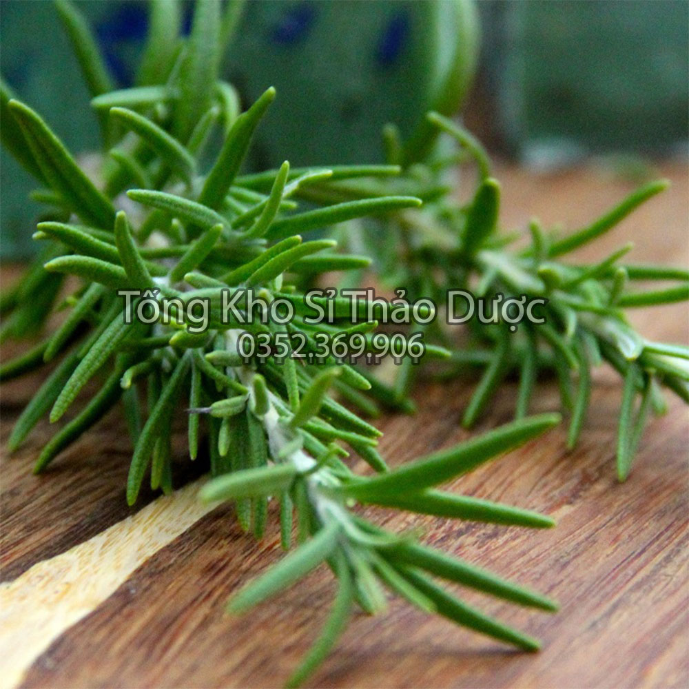 Lá hương thảo sấy lạnh 500g (Gia vị thảo mộc, nguyên liệu ướp thịt nướng, decor món ăn)